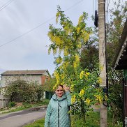 , 36 , 