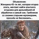  , , 63  -  22  2025    