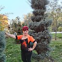 ���� �����, �����������, 58 ��� - ��������� 16 ����� 2026 � ������ ���� ����������