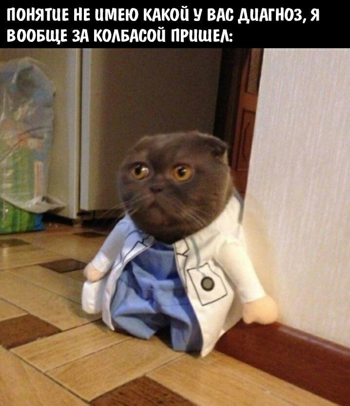    - 9  2023  02:35