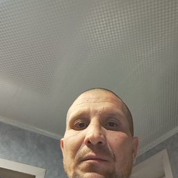 , 40, 