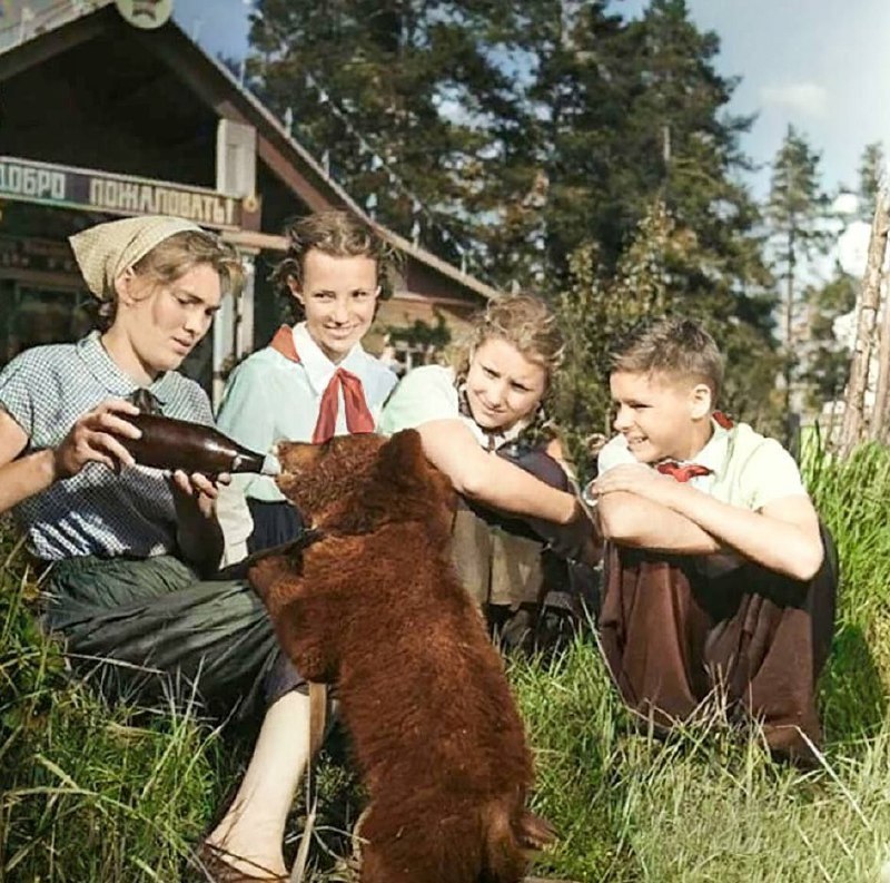    .   1960- .