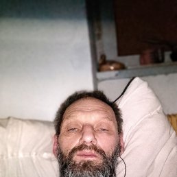, 51 , 