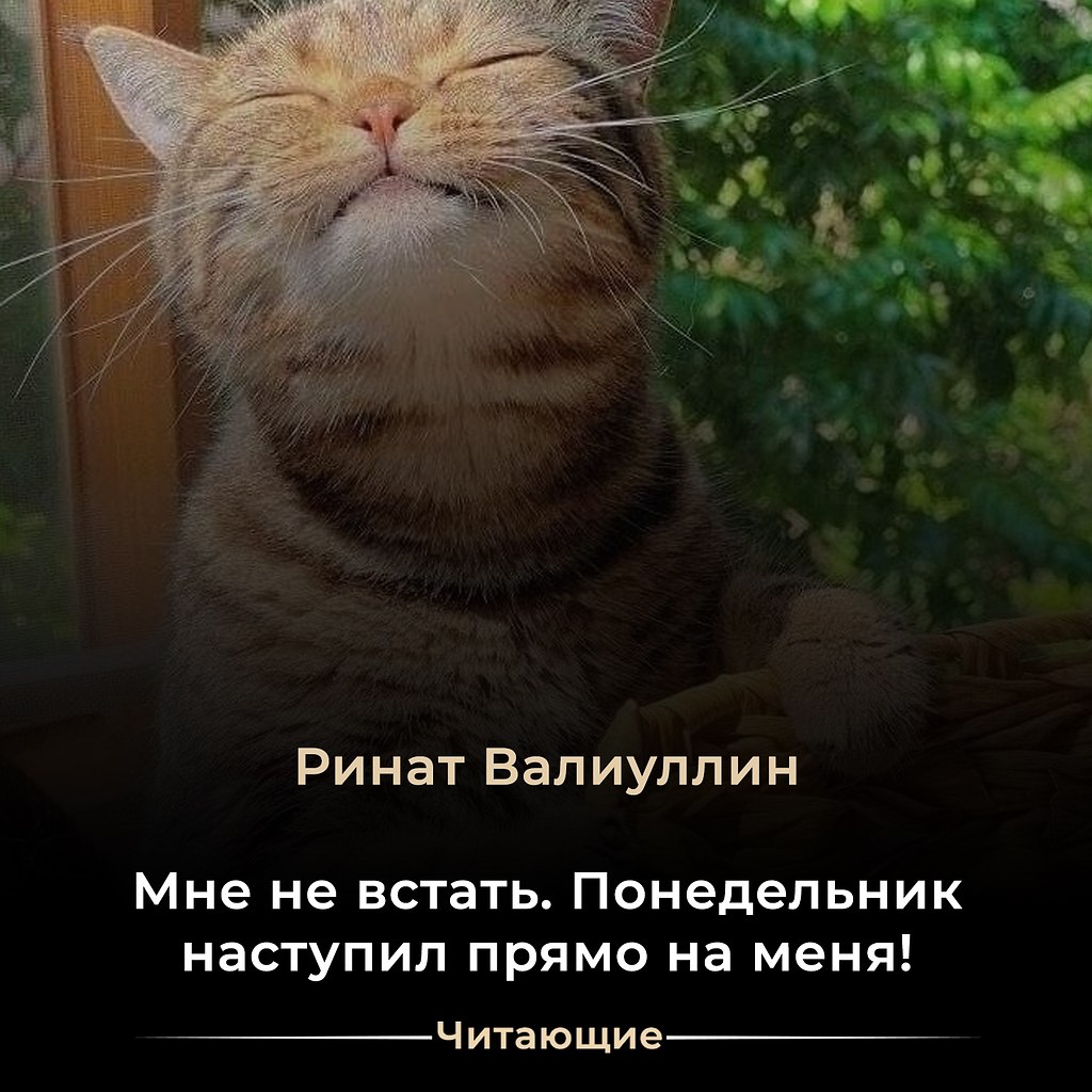       ,       ...