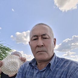 , 61, 
