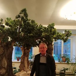 , 65, 