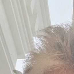 ��������, ����, 57 ���