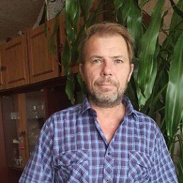 , 53, 