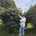 ���� ������, ����������� - ��������� 4 ������ 2026