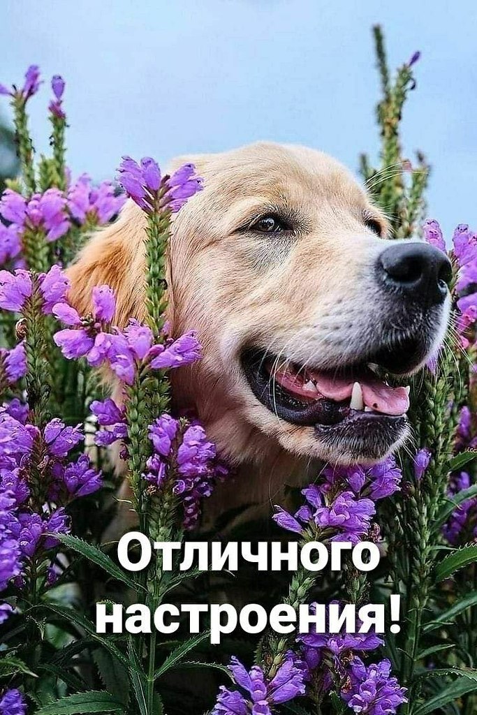   - 17  2025  16:06