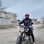 , 53 , 