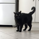 ���� ������, �����������, 27 ��� - ��������� 9 ���� 2025 � ������ ���� ����������