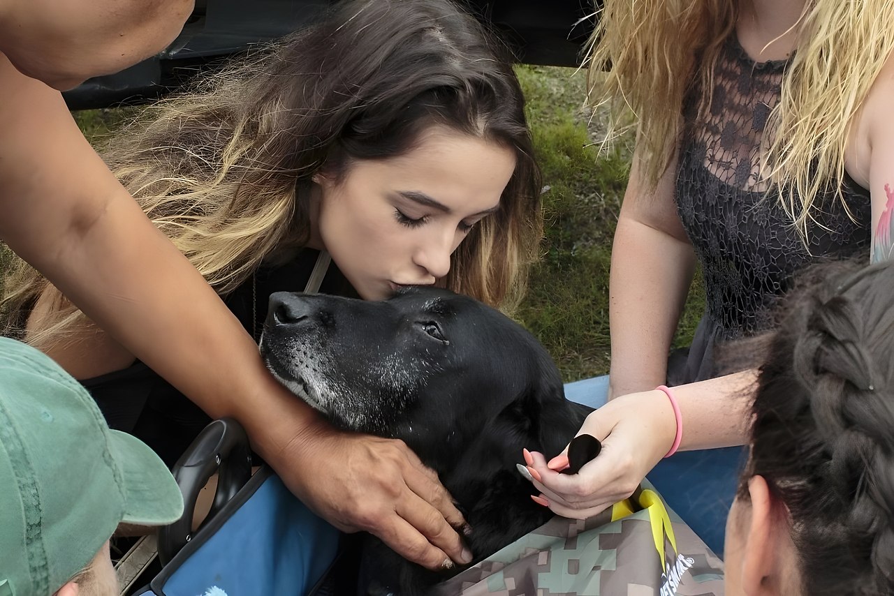  -  ,         -  ... - 4