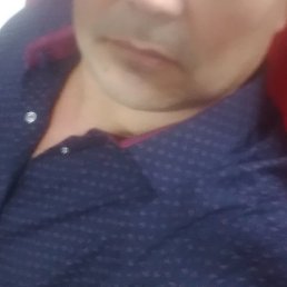 �����, �����������, 46 ���