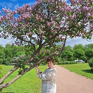 , 61 , -