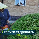 ���� ��������, ������-��-����, 38 ��� - ��������� 17 ������� 2026 � ������ ������ ��������