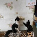 ���� �������, ��������, 69 ��� - ��������� 7 ������� 2025 � ������ ������ ��������
