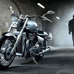 �����, ��������, 43 ����