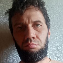 �����, �����-���������, 36 ���