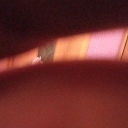 ������, ����, 62 ����