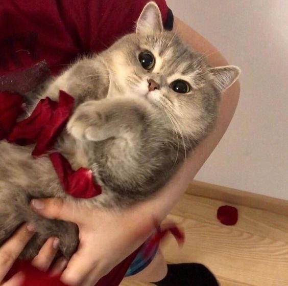 2     .   ,  ,   ...