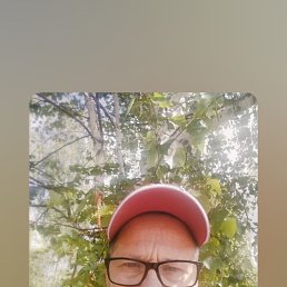 , 55, 
