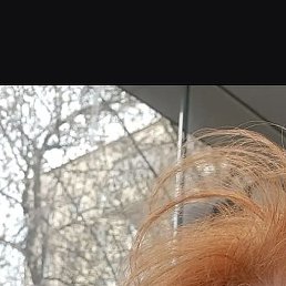 ����, ������, 61 ���
