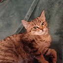 ���� ������, ������, 56 ��� - ��������� 5 ������ 2023 � ������ ���� ����������