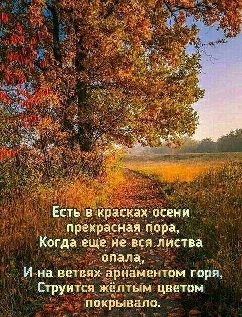   ,   ,    ,   ,  . ... - 3