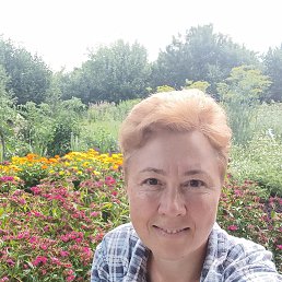 ���� ������, ������ ��������, 51 ��� - ��������� 24 �������� 2024