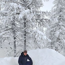 ������, ���������, 47 ���