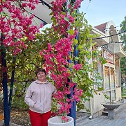 ����, , ������������