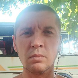 �������, ���, 37 ���