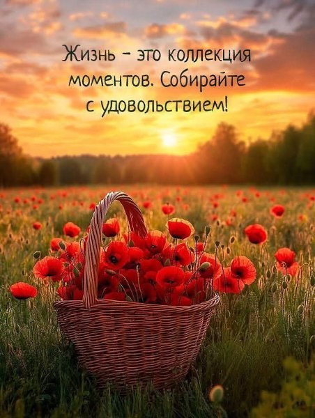  - 27  2025  11:36