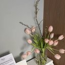 ���� ������, ������ - ��������� 7 ����� 2026 � ������ ������ ��������