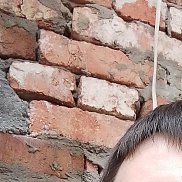 �������, 39 ���, ������