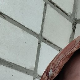 ˸, , 26 