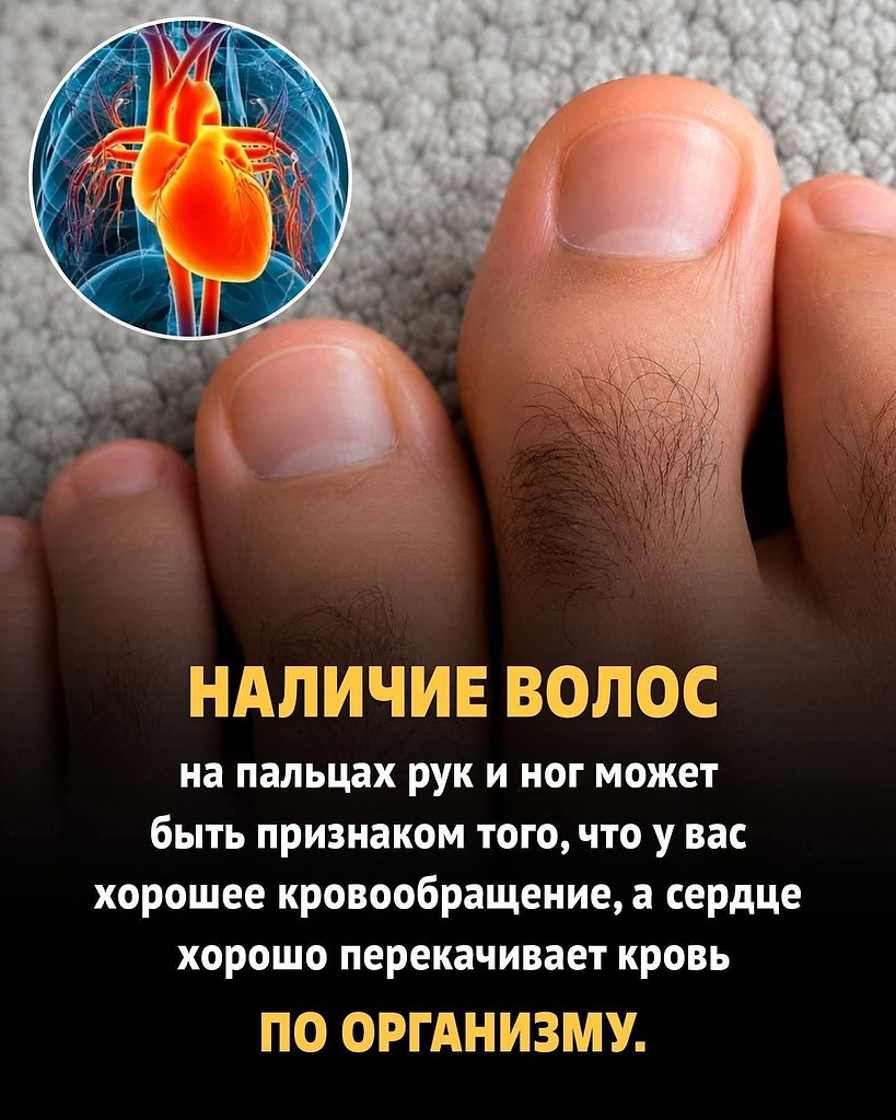 :) ������ �� ������� ��� � �� �������� ��� ����� ���� ��������� �������� ��������������� ...