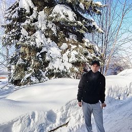 ������, ������, 37 ���