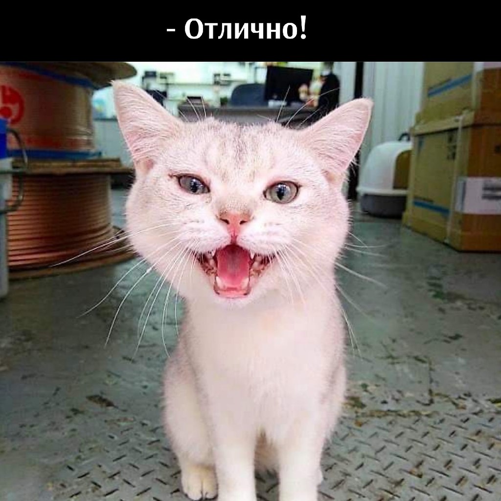 ��� ���� � ����� �� �� - 23 ����� 2026 � 13:00 - 2