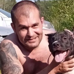 �����, 42 ����, �������