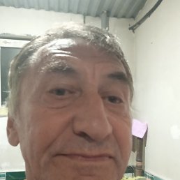 , 65, 