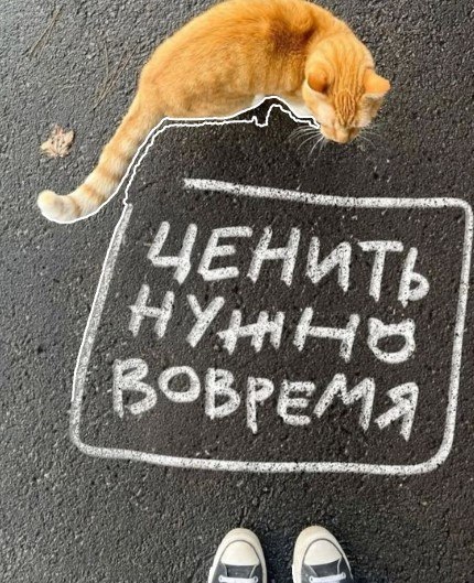  - 6  2025  22:42