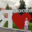 ���� ���, ������ �������, 54 ���� - ��������� 15 ���� 2026 � ������ ������ ��������