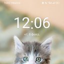 ���� ����, ������, 38 ��� - ��������� 14 ����� 2024 � ������ ���� ����������