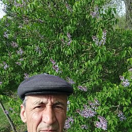 , 56, --