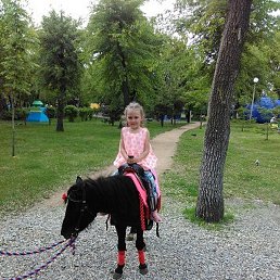 ���������, ���������, 39 ���