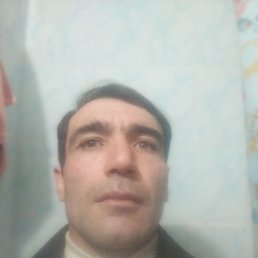 , 37, 