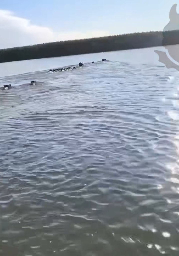 �������, ������! ������ � ��� �� �����!� � ������������ ������ �������� ����� �������������� ������ ... - 2