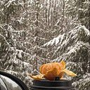 ���� ���, ������, 39 ��� - ��������� 27 ������� 2023 � ������ ���� ����������